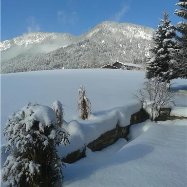 Eine verschneite Landschaft mit Bergen im Hintergrund. Ein kleines Holzhaus ist teilweise sichtbar, umgeben von Schnee und winterlicher Vegetation.