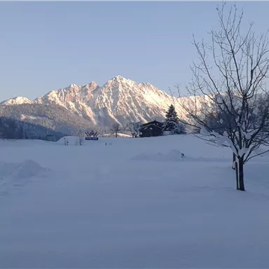 Eine Winterlandschaft mit viel Schnee und hohen Bergen im Hintergrund. Der Himmel ist klar und die Sonne scheint.