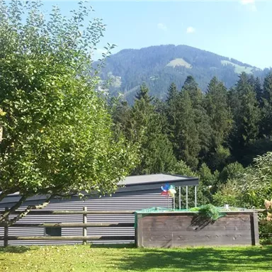A tranquil landscape with a green garden, a large apple tree, and a modern camper van in the background. The mountains and the dense forest create a picturesque backdrop.