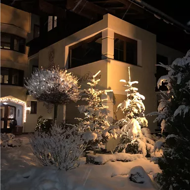 A beautiful house in the snow at night. The illuminated plants create a cozy atmosphere.