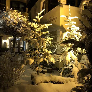 A winter garden with snow-covered trees and warm lighting. The scene conveys a cozy, festive atmosphere.