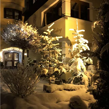 A snowy outdoor area with illuminated trees and a cozy building entrance. The warm lighting creates an inviting atmosphere in winter.