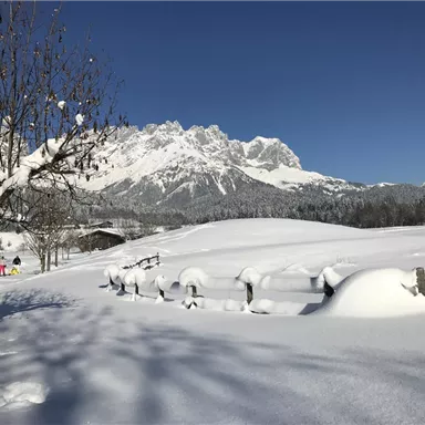 Eine Winterlandschaft mit schneebedeckten Feldern und Bergen im Hintergrund. Der Himmel ist klar und blau, und es gibt einige schneebedeckte Bäume.