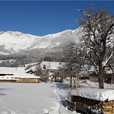 Eine winterliche Landschaft mit schneebedeckten Bergen und einem klaren blauen Himmel. Im Vordergrund sind ein Baum und traditionelle Bauernhäuser zu sehen.