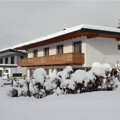 A snow-covered house in an idyllic winter landscape. Surrounded by snow and trees, the scene radiates serenity and coziness.