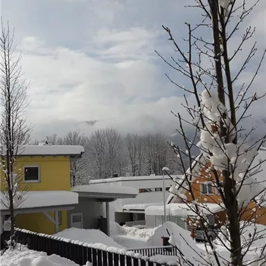 Eine verschneite Landschaft mit gelben und orangefarbenen Häusern. Der Himmel ist bewölkt, und im Vordergrund steht ein Baum mit Schnee.