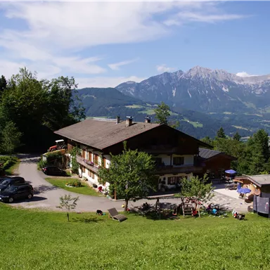 Eine malerische Berghütte umgeben von grünen Wiesen und Bäumen. Im Hintergrund sind majestätische Berge und ein klarer Himmel zu sehen.
