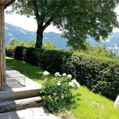 A quiet terrace overlooking green meadows and mountains. Surrounded by tall bushes and a sunny sky.