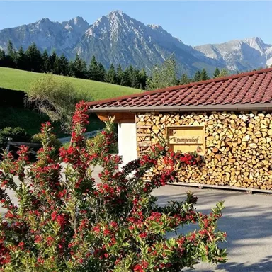 A tranquil landscape with mountains in the background. In the foreground, there is a blooming bush and a woodpile next to a rustic building.