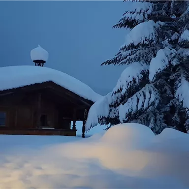A cozy mountain cabin in the snow under a grey sky. The ground is covered with a thick layer of snow.