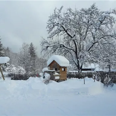 Eine verschneite Landschaft mit einem kleinen Holzhaus und einem schneebedeckten Baum. Im Hintergrund sind weitere Bäume und ein Spielplatz zu sehen.