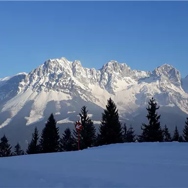 Eine beeindruckende Berglandschaft mit schneebedeckten Gipfeln und einem klaren blauen Himmel. Im Vordergrund sind verschneite Tannen zu sehen.