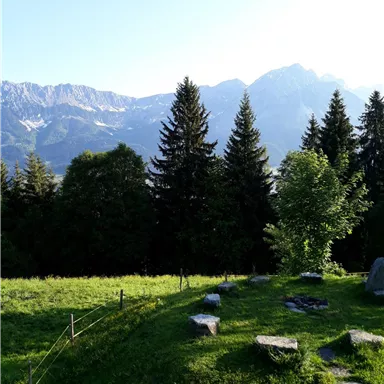 A picturesque mountain landscape with tall fir trees and snow-capped peaks in the background. The meadow is green and inviting.