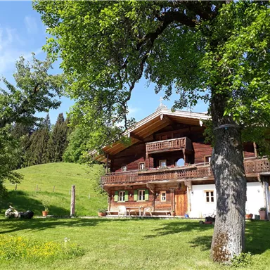 A traditional wooden house surrounded by trees and a green meadow. In the background, gentle hills and a blue sky can be seen.