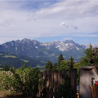 Eine wunderschöne Berglandschaft mit schneebedeckten Gipfeln und grünen Wiesen. Im Vordergrund ist ein Holzzaun und einige Pflanzen zu sehen.