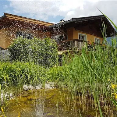 Ein schönes Haus umgeben von grünem Gras und Pflanzen. Im Vordergrund sieht man einen Teich mit sprudelndem Wasser.