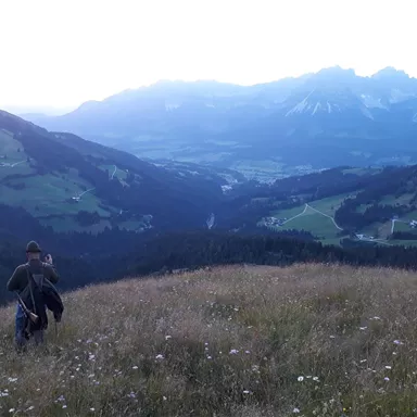 Eine Person wandert über eine grüne Wiese in den Bergen. Im Hintergrund sind majestätische Berge und ein klarer Himmel zu sehen.