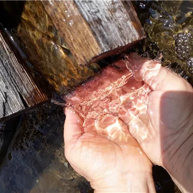 Eine Hand hält klares Wasser, das von einem Holzbrett fließt. Die Reflexionen im Wasser sind deutlich sichtbar.