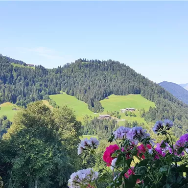 Eine malerische Landschaft mit sanften grünen Hügeln und Bergen im Hintergrund. Bunte Blumen rahmen die Ansicht ein und verleihen dem Bild Farbe.