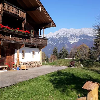 A traditional chalet in the Alps with a magnificent view of snow-covered mountains. The area is surrounded by green grass and wooden sculptures.