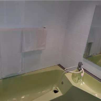 A bathroom with an oval green bathtub and a towel rack. A sink is visible in the mirror.