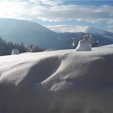 Eine friedliche Winterlandschaft mit einer dicken Schneedecke. Im Hintergrund erheben sich schneebedeckte Berge unter einem klaren Himmel.