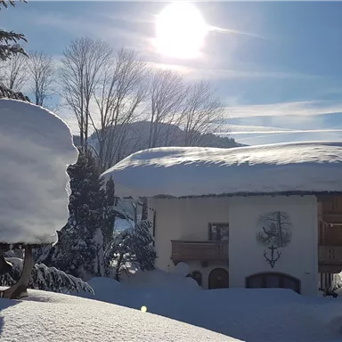 A snowy landscape with a cozy building and a large, snow-covered tree in the foreground. The sun shines brightly in the blue sky.