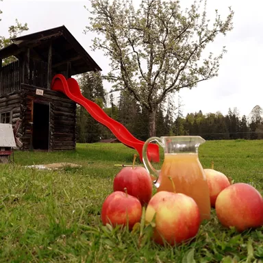 Ein Spielplatz aus Holz mit einer Rutsche und einem Apfelbaum im Hintergrund. Im Vordergrund stehen ein Krug Saft und mehrere Äpfel auf dem Gras.