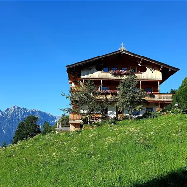 Ein charmantes alpines Haus umgeben von grünen Wiesen und Bergen im Hintergrund. Der klare blaue Himmel verleiht der Landschaft eine ruhige Atmosphäre.