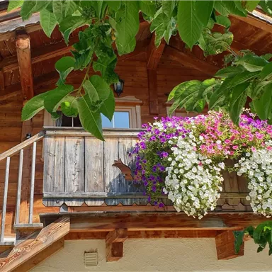 A charming wooden house with a beautiful balcony adorned with colorful flowers. Green foliage frames the scene, giving it a fresh atmosphere.