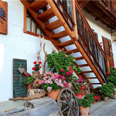 A wooden staircase leads to a charming building adorned with colorful flowers and plants. The rustic atmosphere is enhanced by old wagon wheels and wooden elements.