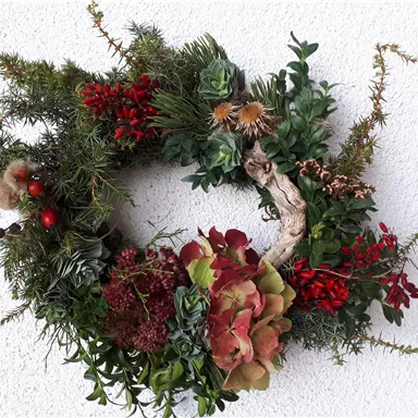 A beautiful wreath with various green plants and red berries. It is perfect as a decorative element for the holidays.