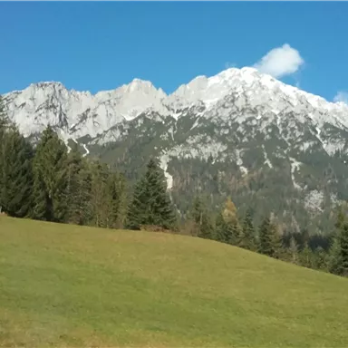 Eine beeindruckende Berglandschaft mit schneebedeckten Gipfeln und grünem Gras im Vordergrund. Der Himmel ist klar und blau.