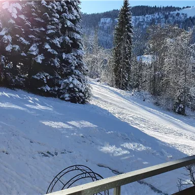 A snowy landscape with tall fir trees and sparkling snow. In the background, the snow-covered mountains can be seen.