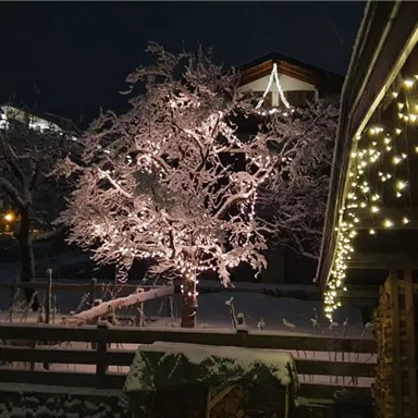 Ein verschneiter Garten bei Nacht mit einem beleuchteten Baum. Im Vordergrund sind Lichterketten und ein Holzstapel zu sehen.