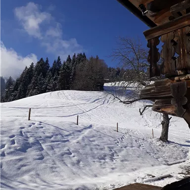 A snowy landscape with trees in the background and blue sky. In the foreground, a wooden terrace can be seen.
