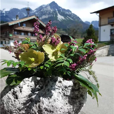 A flower arrangement in a stone container. In the background, mountains and a rural setting can be seen.