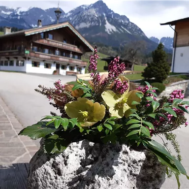 A beautiful bouquet of various plants in a stone container. In the background, traditional alpine houses and mountains can be seen.