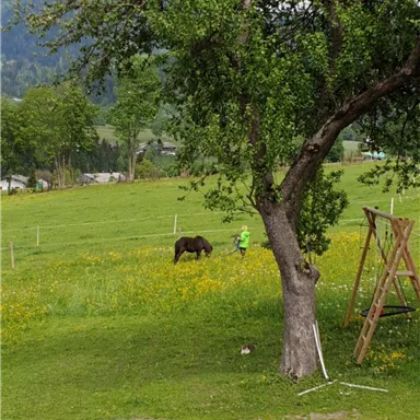 Eine grüne Wiese mit vielen Blumen und einem Pferd. Im Hintergrund befindet sich ein Baum und eine Person, die in der Wiese arbeitet.