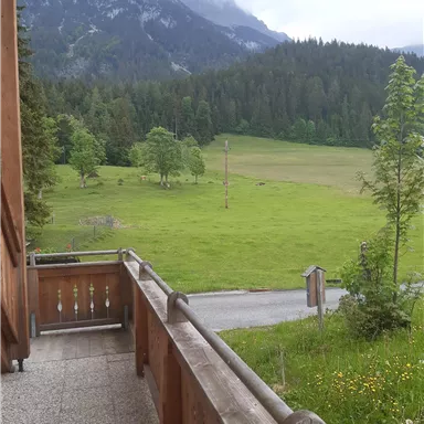 Ein schöner Blick von einer Terrasse auf eine grüne Wiese mit Bäumen und Bergen im Hintergrund. Die Szenerie wirkt ruhig und idyllisch.