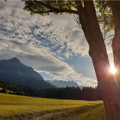 A picturesque landscape with mountains in the background and a sunbeam shining through the leaves of a tree. The sky is partly cloudy and the meadow is green.