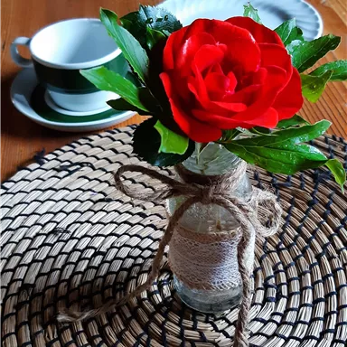 A red rose in a glass vase, surrounded by fresh leaves. In the background, a cup and saucer can be seen on a woven placemat.