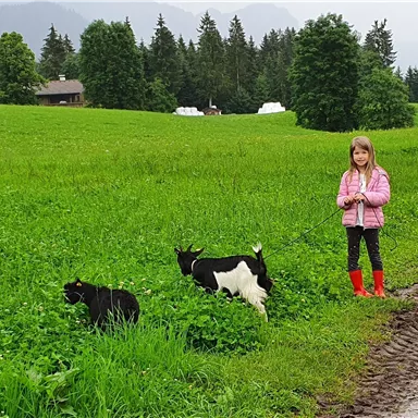 Ein Mädchen steht auf einer grünen Wiese und hält zwei Ziegen an der Leine. Im Hintergrund sind Bäume und einfache Gebäude sichtbar.