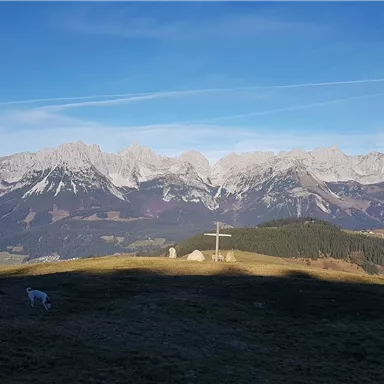 An impressive mountain landscape with snow-covered peaks and a clear blue sky. In the foreground, there is a meadow with a white animal visible.