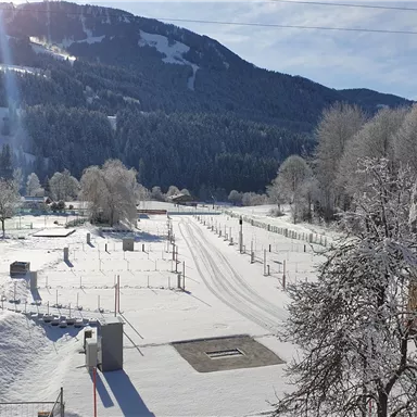 A winter landscape with freshly fallen snow. A mountain in the background and sunny skies complement the tranquil atmosphere.