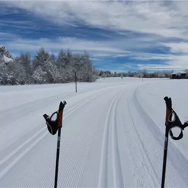 Eine schneebedeckte Landschaft mit Langlaufspuren, die durch die Winterlandschaft führen. Im Hintergrund sind verschneite Bäume und Berge zu sehen.