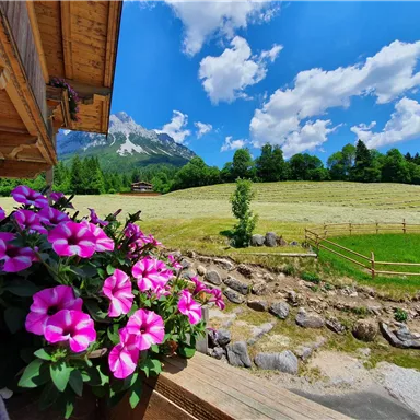 Eine malerische Landschaft mit bunten Blumen auf einer Terrasse. Im Hintergrund sind grüne Wiesen und Berge unter einem klaren blauen Himmel zu sehen.