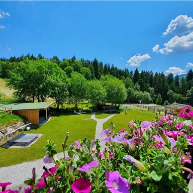 Ein ruhiger Garten mit bunten Blumen und grünem Rasen. Im Hintergrund sind Bäume und ein klarer blauer Himmel zu sehen.