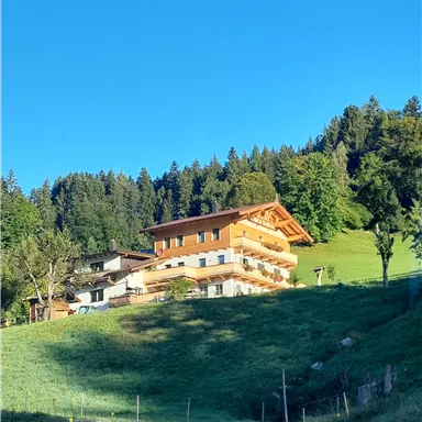 Ein schönes Haus auf einem Hügel, umgeben von Bäumen und Wiesen. Der klare blaue Himmel ergänzt die friedliche Landschaft.