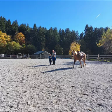 Ein Reitplatz mit zwei Personen, die ein Pferd führen. Im Hintergrund sind bunten Bäume und ein blauer Himmel zu sehen.